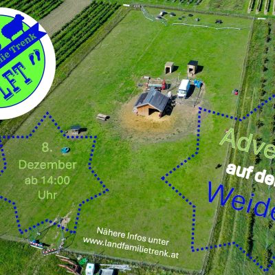 Advent auf der Weide