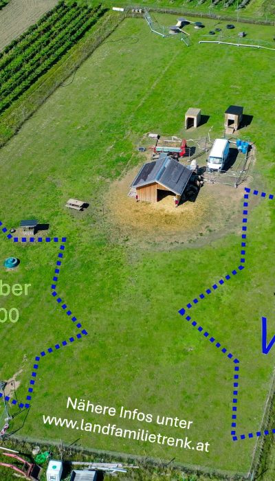 Advent auf der Weide